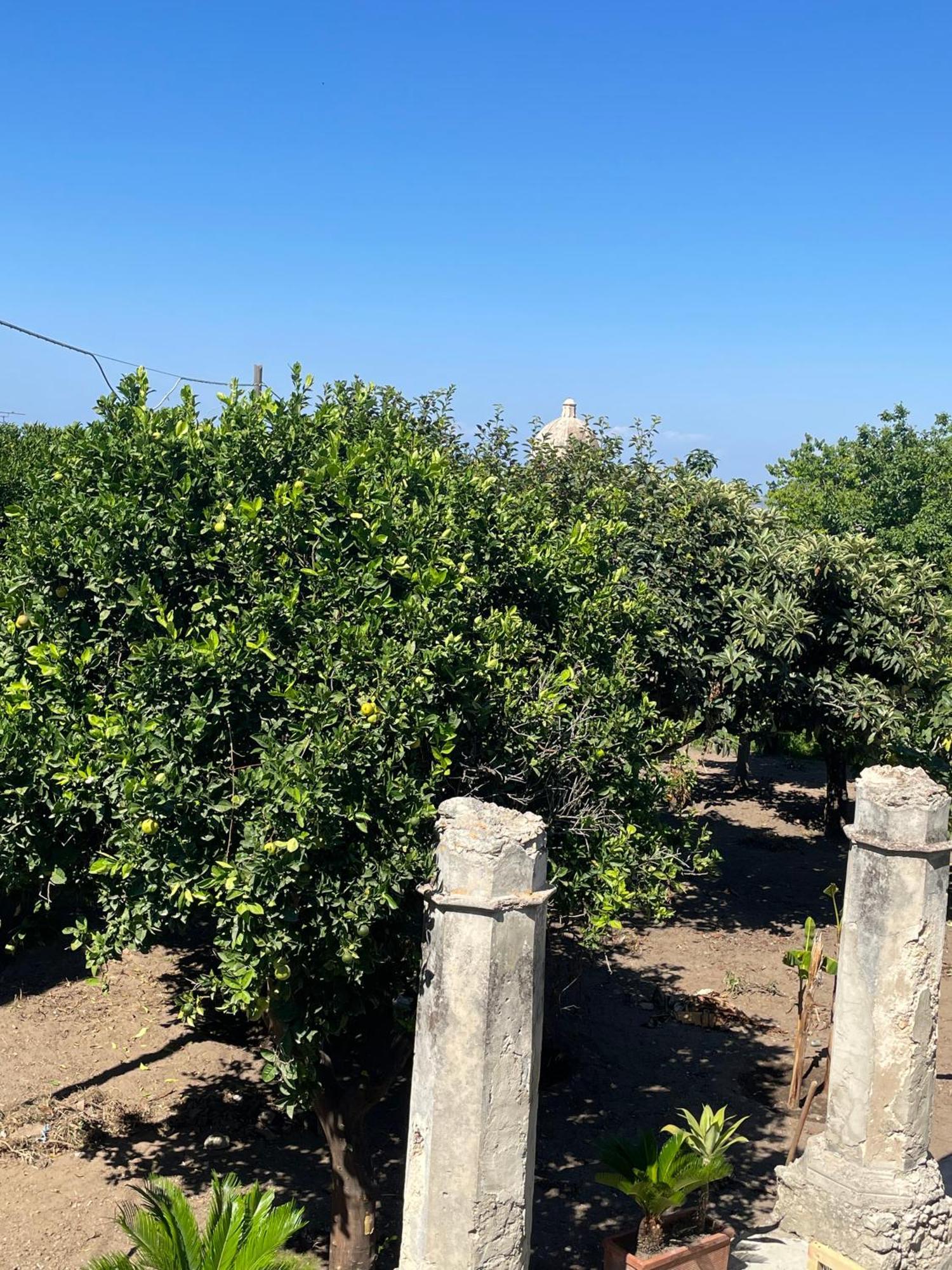 Tenuta La Torre 特罗佩阿 外观 照片